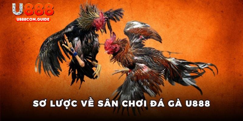 Sơ lược về sân chơi đá gà U888